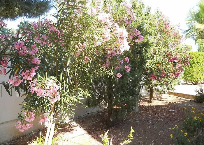 B&B La Strea Porto Cesareo